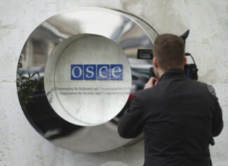 Европейски законодатели разкритикуваха участието на бивша преводачка на Путин като наблюдател на изборите в Унгария