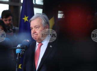 Генералният секретар на ООН осъди нападенията в Мали и прозива за "съгласуван международен" отговор