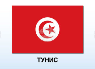 Известен тунизийски журналист бе задържан след критики към съдебната система, съобщи адвокатът му