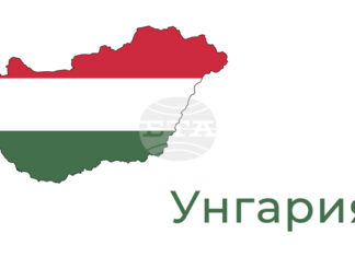 МТИ: ФИДЕС - Християндемократи претърпя сериозно поражение на парламентарните избори в Унгария, заяви министър