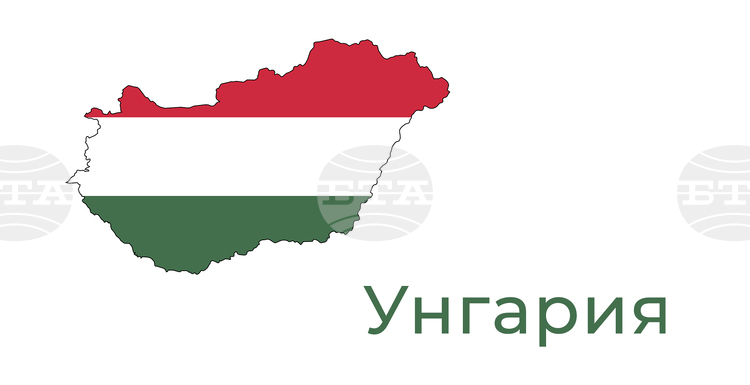 МТИ: ФИДЕС - Християндемократи претърпя сериозно поражение на парламентарните избори в Унгария, заяви министър