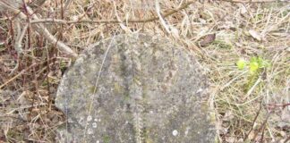 Останки от старо християнско гробище в землището на Опака са фотографирани от екип на Историческия музей в Попово