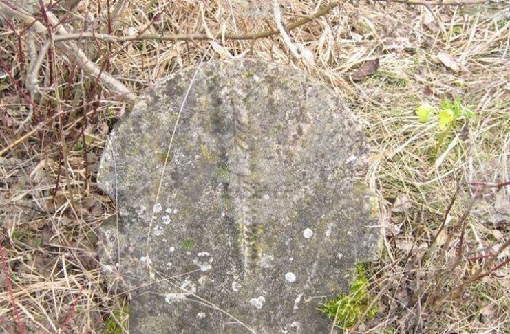 Останки от старо християнско гробище в землището на Опака са фотографирани от екип на Историческия музей в Попово