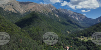 Планински спасители от отряда в Кюстендил са помогнали на парапланерист, заплел се в дърво