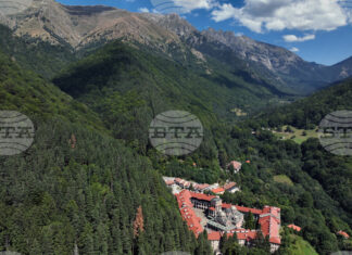 Планински спасители от отряда в Кюстендил са помогнали на парапланерист, заплел се в дърво