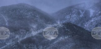 Продължава издирването на възрастната жена в района на Средна гора, съобщиха от Планинската спасителна служба на БЧК