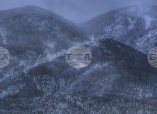 Продължава издирването на възрастната жена в района на Средна гора, съобщиха от Планинската спасителна служба на БЧК