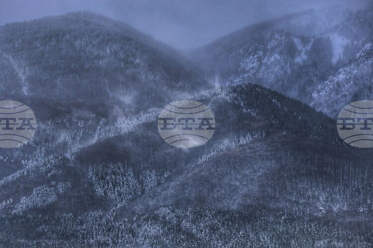 Продължава издирването на възрастната жена в района на Средна гора, съобщиха от Планинската спасителна служба на БЧК