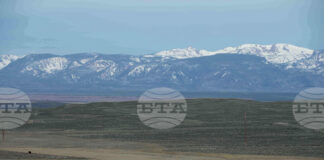 Рекордни цени на говеждото в САЩ заради намаляващите стада