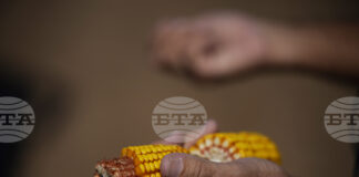 Стратегически резерви от основни стоки на Египет са достатъчни за шест месеца, заяви премиерът Мадбули