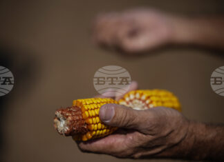 Стратегически резерви от основни стоки на Египет са достатъчни за шест месеца, заяви премиерът Мадбули