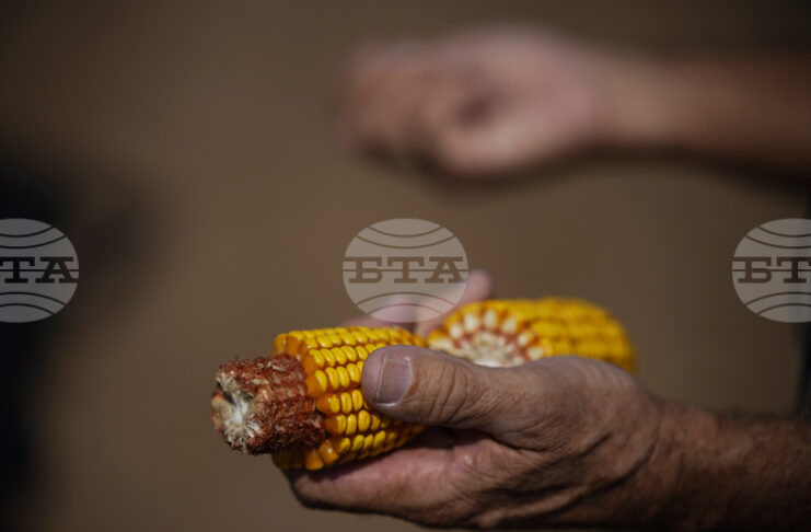 Стратегически резерви от основни стоки на Египет са достатъчни за шест месеца, заяви премиерът Мадбули