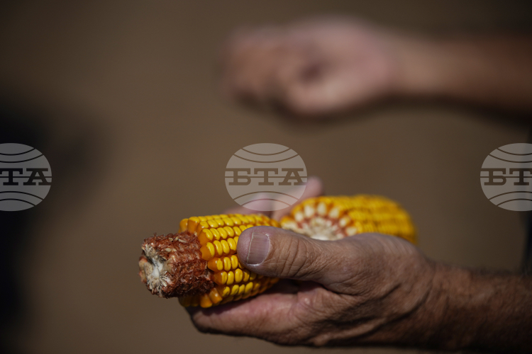 Стратегически резерви от основни стоки на Египет са достатъчни за шест месеца, заяви премиерът Мадбули