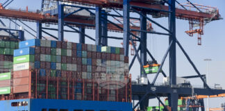 Свободните търговски споразумения могат да ускорят растежа в ЕС и да смекчат ефекта от митата на САЩ, показва анализ на „Ифо“