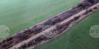 Възстановено е движението на влаковете в междугарието Дъбово – Радунци след вчерашния инцидент, съобщиха от НКЖИ
