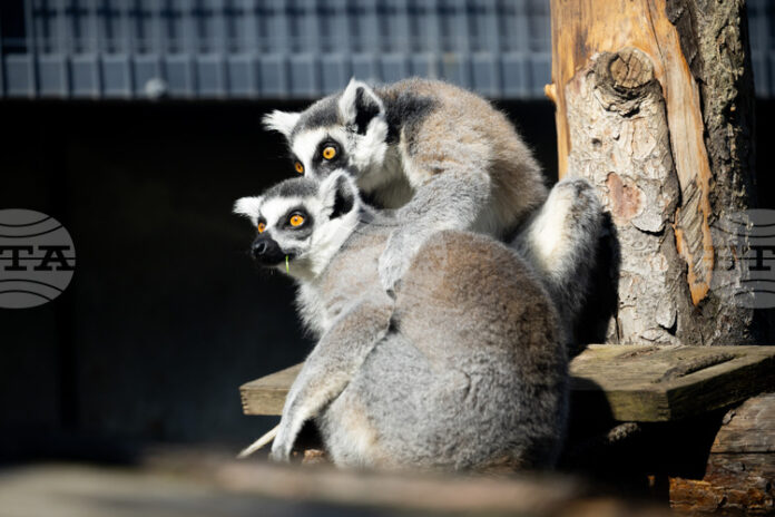 Зоологическата градина в София ще работи без почивен ден, включително и на великденските празници, с лятно работно време