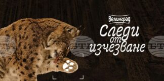 Зоопаркът в Стара Загора ще бъде домакин на пътуващата изложба „Следи от изчезване“