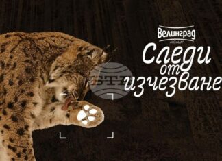 Зоопаркът в Стара Загора ще бъде домакин на пътуващата изложба „Следи от изчезване“