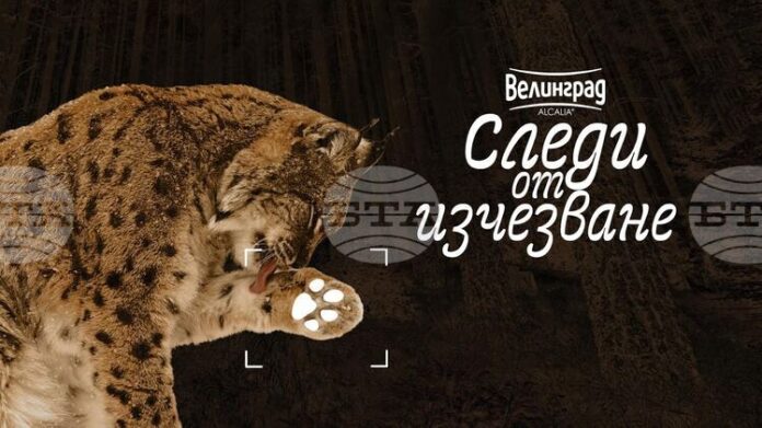 Зоопаркът в Стара Загора ще бъде домакин на пътуващата изложба „Следи от изчезване“