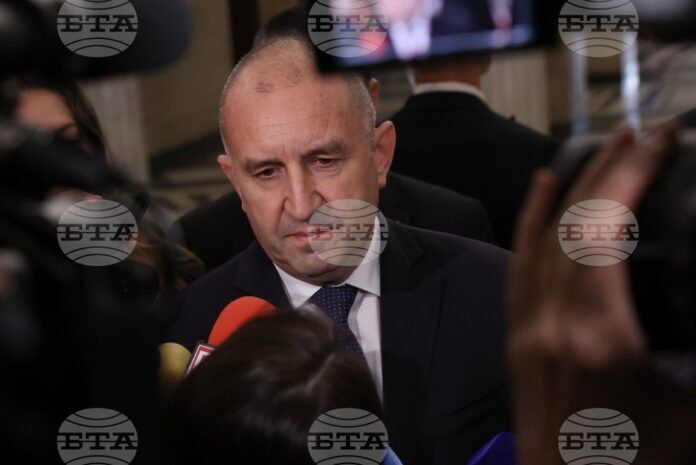 Румен