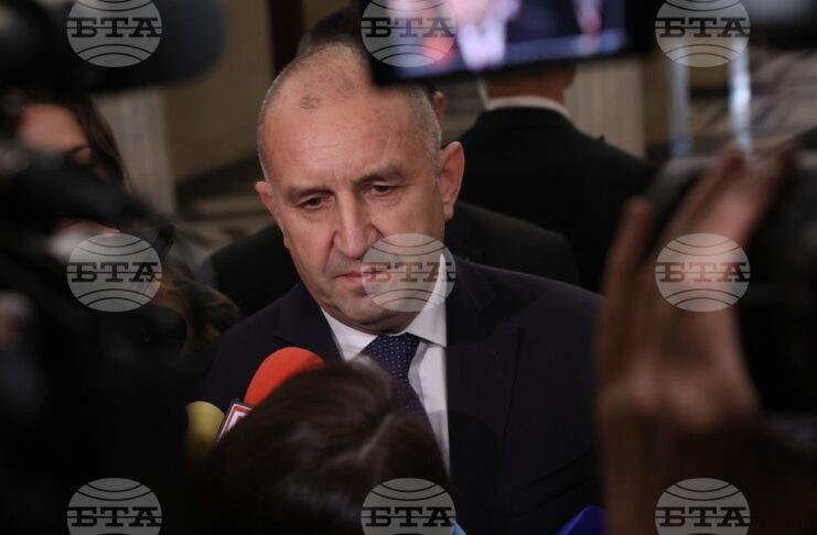 Румен