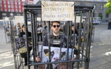 Демонстранти влязоха в клетки в близост до парламента и призоваха за хуманно отношение към телетата