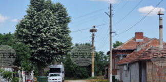 Европейските енергийни пазари останаха силно чувствителни към противоречивите сигнали относно потенциалната деескалация на кризата в Близкия изток, сочи анализ