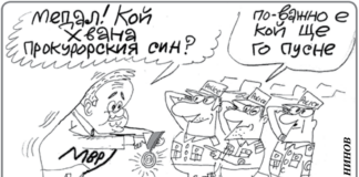 Стършел