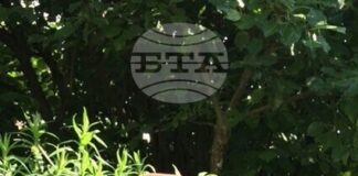 Столичната полиция издирва 74-годишната Тоня Папукчиева - Бодурова