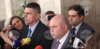 Демократична България