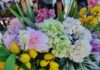 Близо 3800 жители на община Стара Загора отбелязват своя имен ден на Петровден