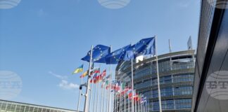 Европейският парламент ще премине от търсачката на „Гугъл“ към френската платформа „Куант“ на фона на усилията за технологичен суверенитет