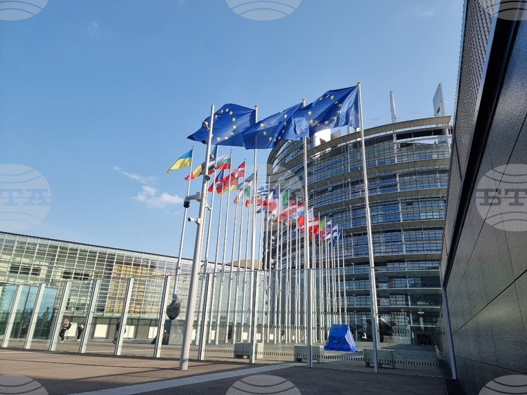 Европейският парламент ще премине от търсачката на „Гугъл“ към френската платформа „Куант“ на фона на усилията за технологичен суверенитет