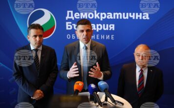 Демократична България