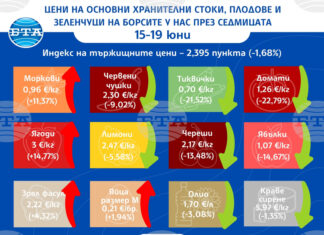 С близо 23 на сто надолу е цената на доматите на борсите у нас тази седмица, отчита ДКСБТ