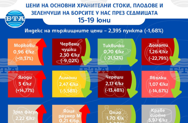 С близо 23 на сто надолу е цената на доматите на борсите у нас тази седмица, отчита ДКСБТ