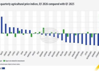 Средната цена на селскостопанската продукция в ЕС намалява с 2,9 на сто на годишна основа през първото тримесечие на 2026 г.