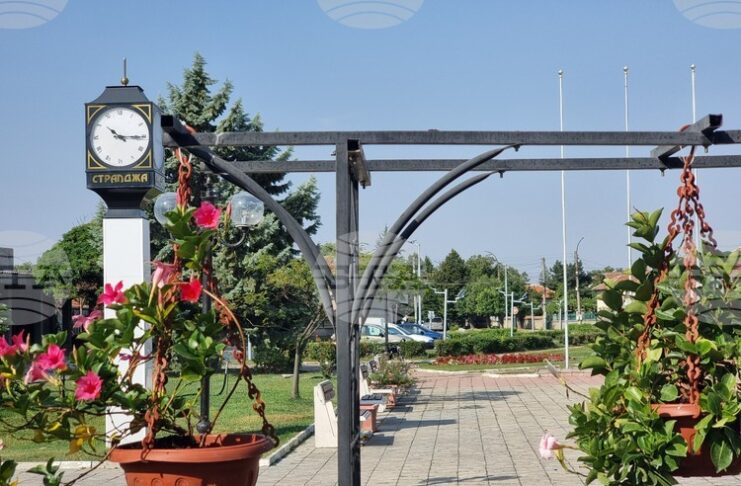 Стралджа предлага посмъртно да удостои създателя на марката „Стралджанска мускатова“ Манол Богданов със званието „Почетен гражданин“