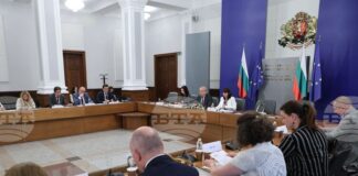 Тристранният съвет не постигна съгласие за това държавата да поеме здравните осигуровки по време на двете години майчинство