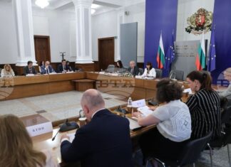 Тристранният съвет не постигна съгласие за това държавата да поеме здравните осигуровки по време на двете години майчинство