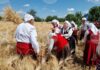 В община Тунджа жътвената кампания ще започне официално на 23 юни В община Тунджа жътвената кампания ще започне официално на 23 юни