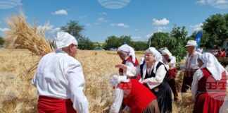 В община Тунджа жътвената кампания ще започне официално на 23 юни