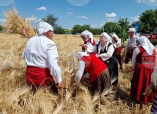 В община Тунджа жътвената кампания ще започне официално на 23 юни