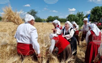 В община Тунджа жътвената кампания ще започне официално на 23 юни В община Тунджа жътвената кампания ще започне официално на 23 юни