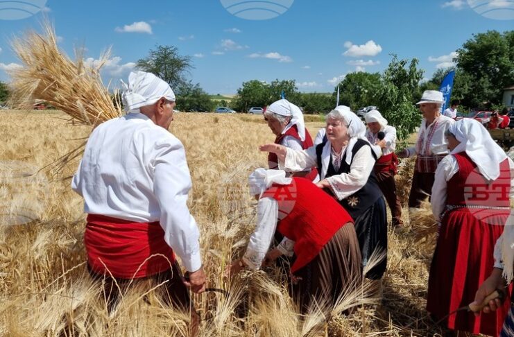 В община Тунджа жътвената кампания ще започне официално на 23 юни