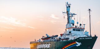 Корабът на „Грийнпийс“ пристига в България с мисия за защита на Черно море. Снимка: "Грийнпийс"