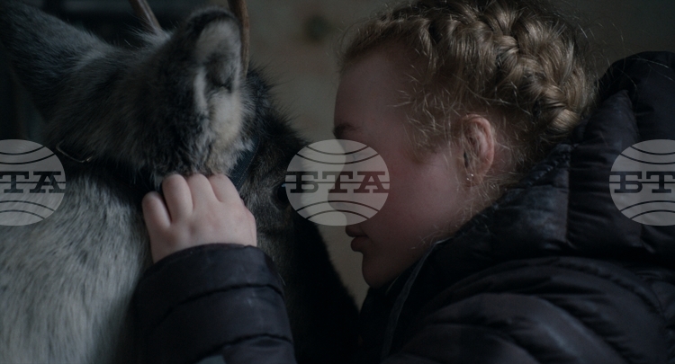 Филмът Ледена земя Brace Your Heart режисиран от шведката Аманда