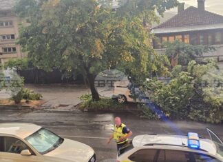 Буря в Петрич нанесе материални щети, екипи продължават разчистването на паднали дървета Буря в Петрич нанесе материални щети, екипи продължават разчистването на паднали дървета