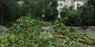 На 210 сигнала, свързани с метеорологичната обстановка в страната, са реагирали пожарните екипи през изминалото денонощие