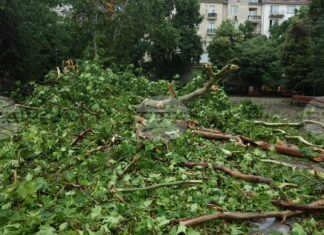 На 210 сигнала, свързани с метеорологичната обстановка в страната, са реагирали пожарните екипи през изминалото денонощие На 210 сигнала, свързани с метеорологичната обстановка в страната, са реагирали пожарните екипи през изминалото денонощие